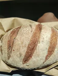 A round loaf of Green Chile Sourdough with deep scoring marks